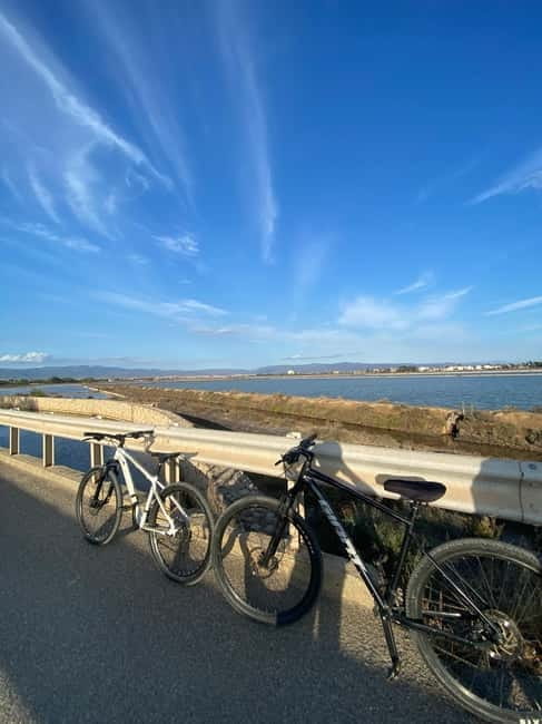 Delivery bike for 6hours Castello/Molentargius/Poetto/Quartu - Final Thoughts: Is It Worth It?