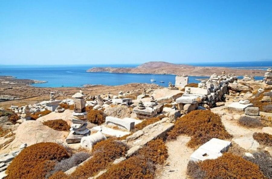 Delos and Mykonos One Day Cruise from Naxos - Who Should Consider This Cruise?