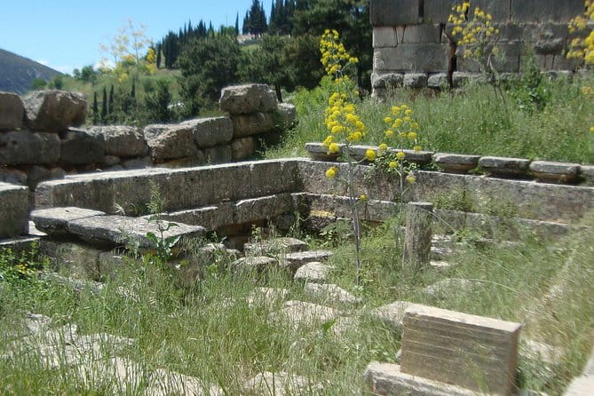Delphi Self-guided Audio Tour on Your Phone (no ticket) - Who Will Love This Tour?