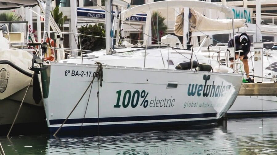 Denia: Sunset Electric Sailboat Cruise with Dolphin Spotting - The Coastal Route — Scenic Views and Sunset Magic