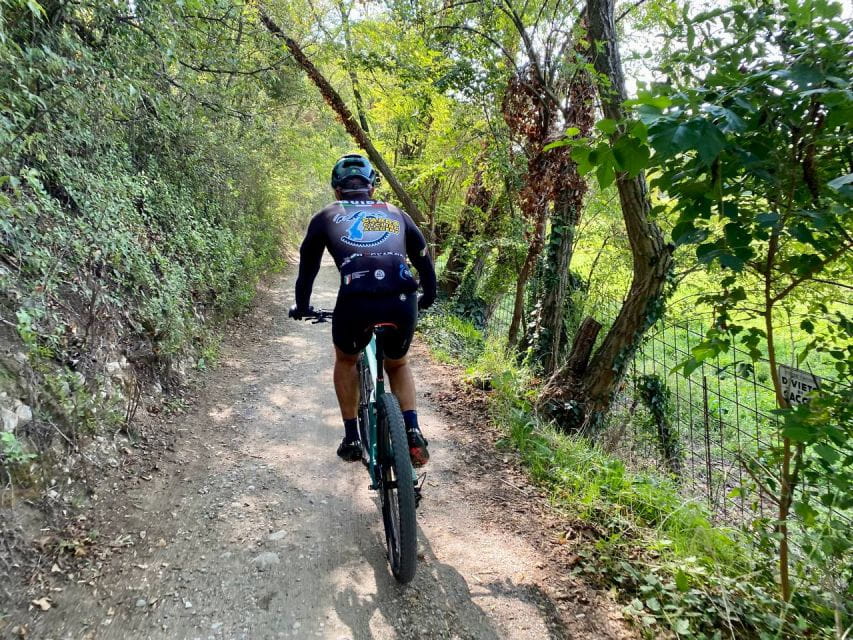 Desenzano: e-Bike Tour with Wine Tasting - The Final Wine Tasting at a Family-Run Lugana Winery