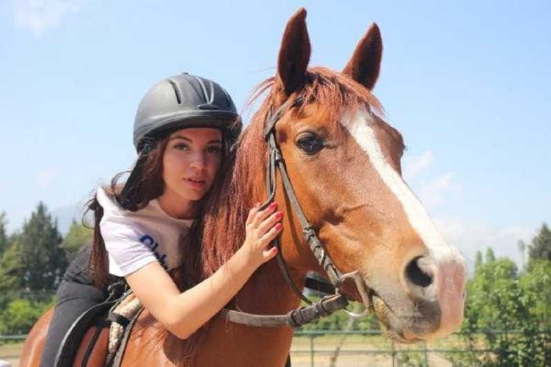 Didim Horse Safari - Who Should Book This?
