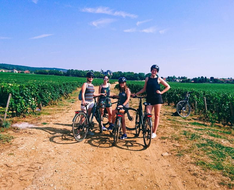 Dijon: Half-Day Guided Gourmet Bike Tour - The Itinerary: What You Can Expect