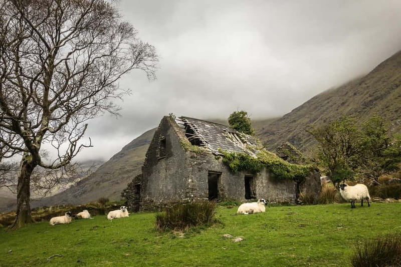 Dingle: 5-Day Photography Tour & Workshop - Location and Access