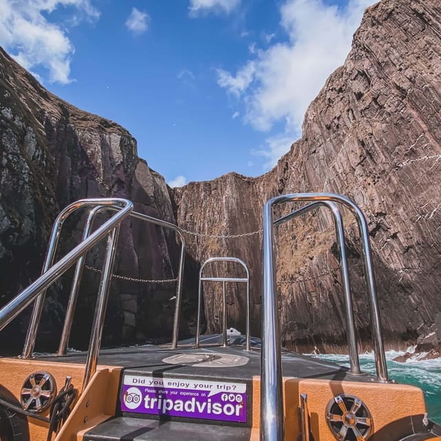 Dingle: Sea Safari by RIB Boat - Who Will Love This Experience?