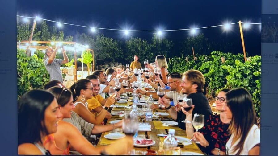 Dinner in the vineyard and wine tasting under the stars - What You Can Expect During the Evening