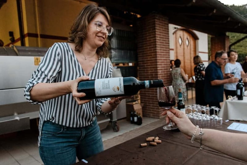 Dinner in the vineyard in Alba with wine tasting aperitif and winery tour - Final Thoughts: An Evening of Authentic Flavors and Scenic Beauty