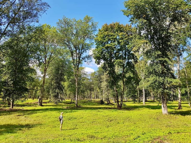 Discover Best of Sigulda and Gauja National Park In One Day - Who is this tour best suited for?