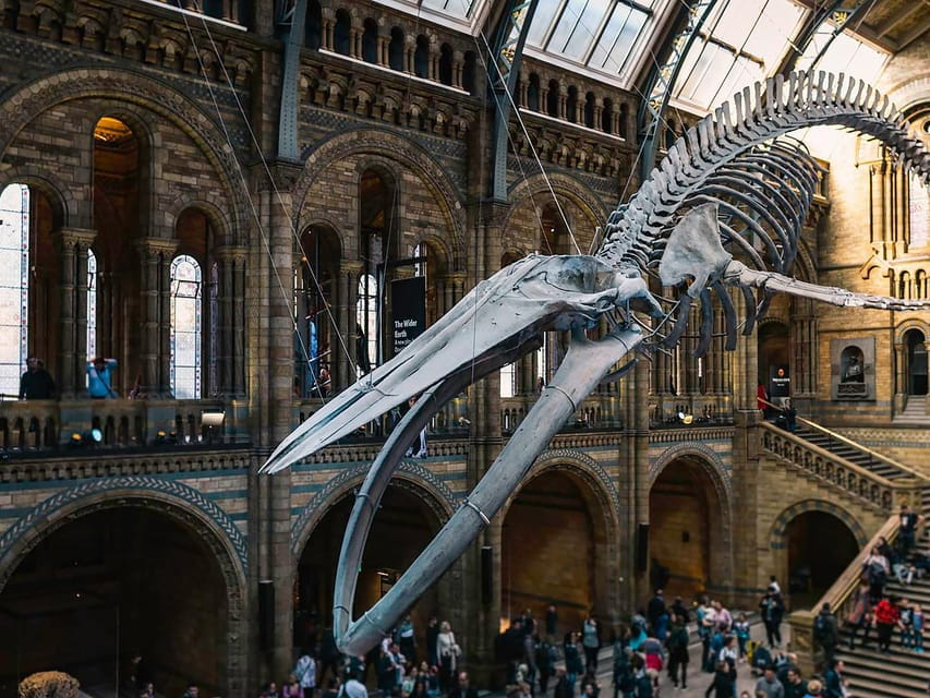 Discover Fossils & Gems at Natural History Museum - Final Thoughts