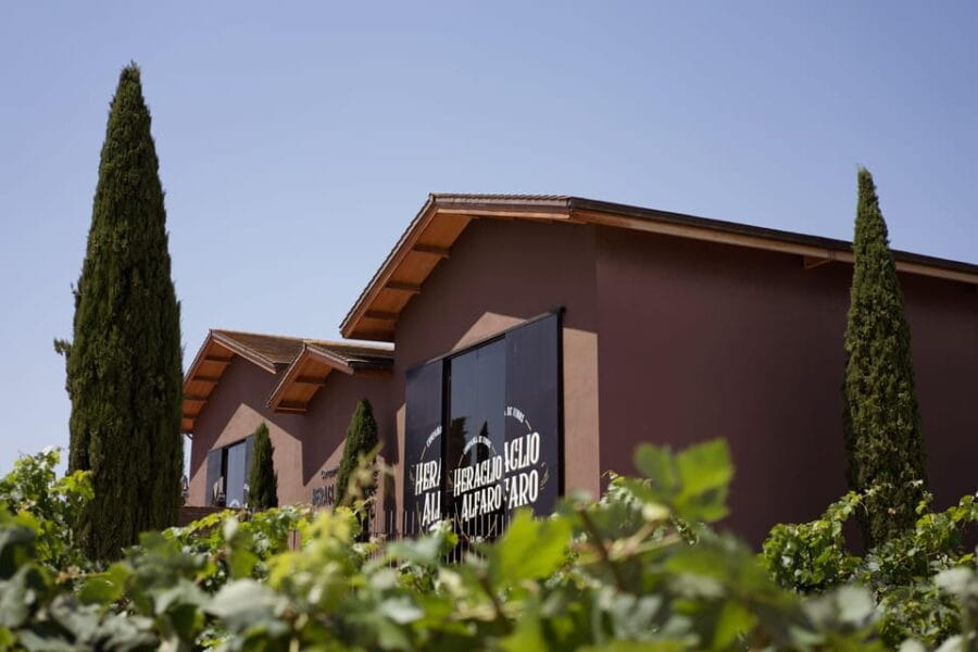 Discover La Rioja: Guided Winery Tour & Wine Tasting - The Tasting Experience: Two Reds and Local Snacks