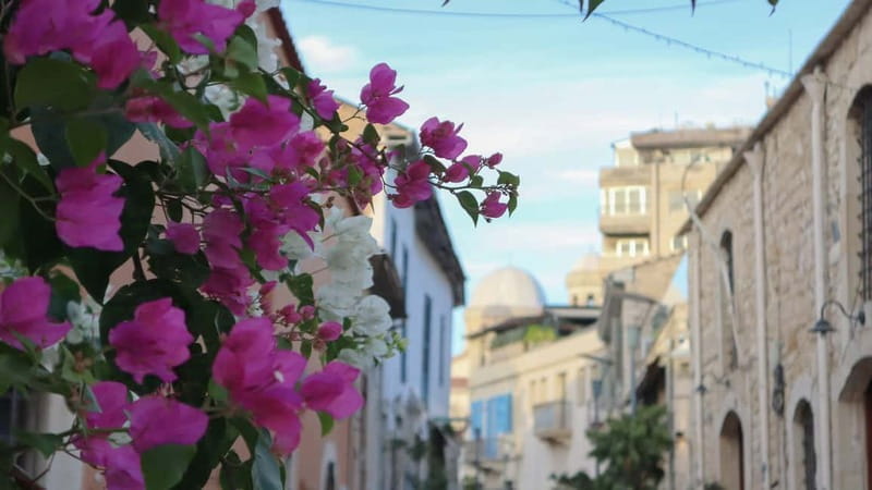 Discover Limassol and Cyprus culture with a local(Tip-based) - Who Should Consider This Tour?