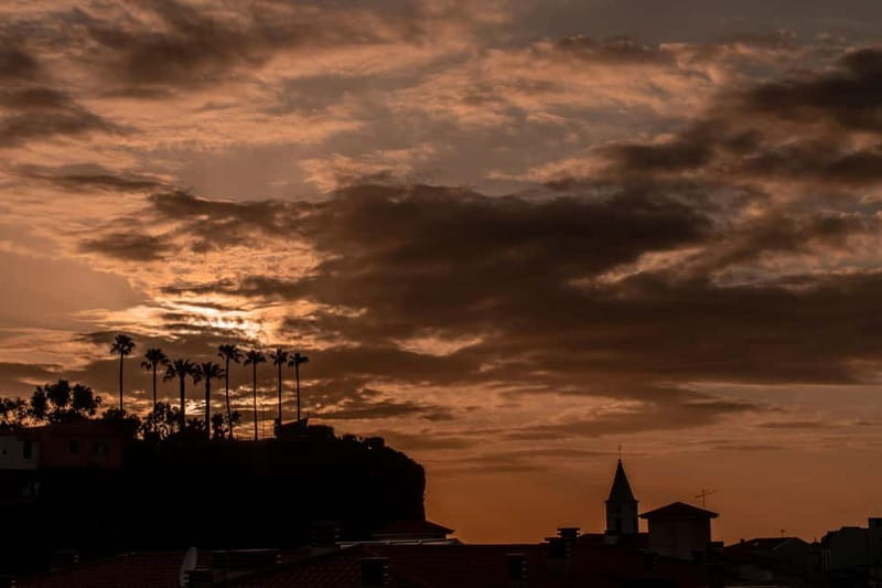 Discover Madeira in your own way: Private full-day tour - Price and Logistics: Is It Worth It?