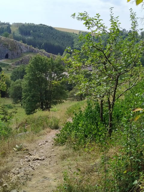 Discover Moravian Karst: Seven Stops, One Tailored Tour - Exploring the Heart of Moravian Karst