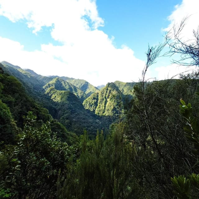 Discover one of our island's levadas in a relaxing way? - Price and Value Analysis