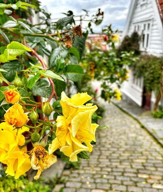 Discover Private+ Stavanger Guided City Tour - The Itinerary and What to Expect