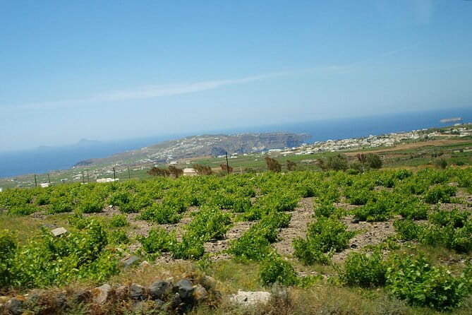 Discover Santorini - Final Thoughts: Is This Tour Right for You?