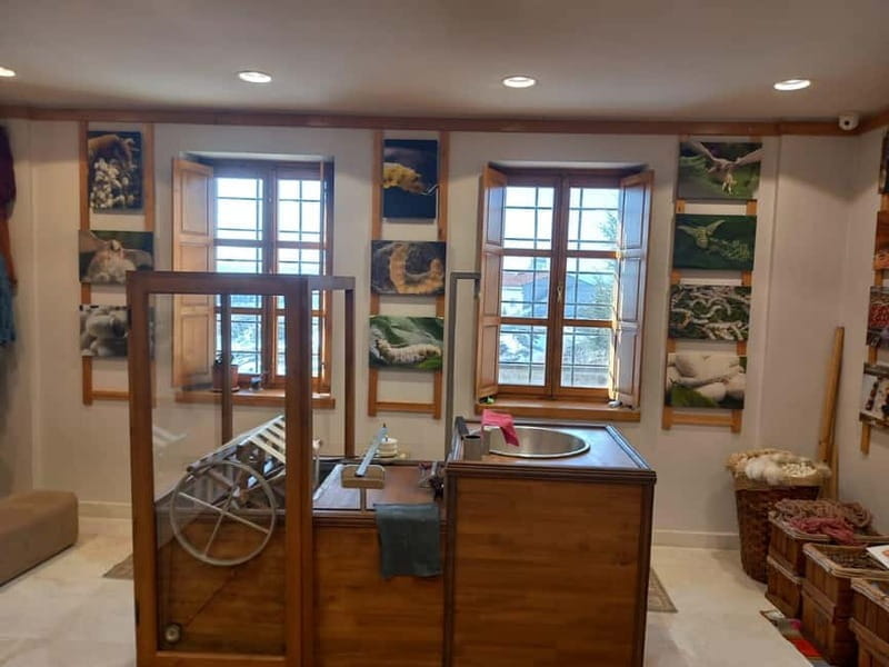 Discover the Ancient Art of Carpet Weaving in Cappadocia - What to Expect at Each Step of the Workshop