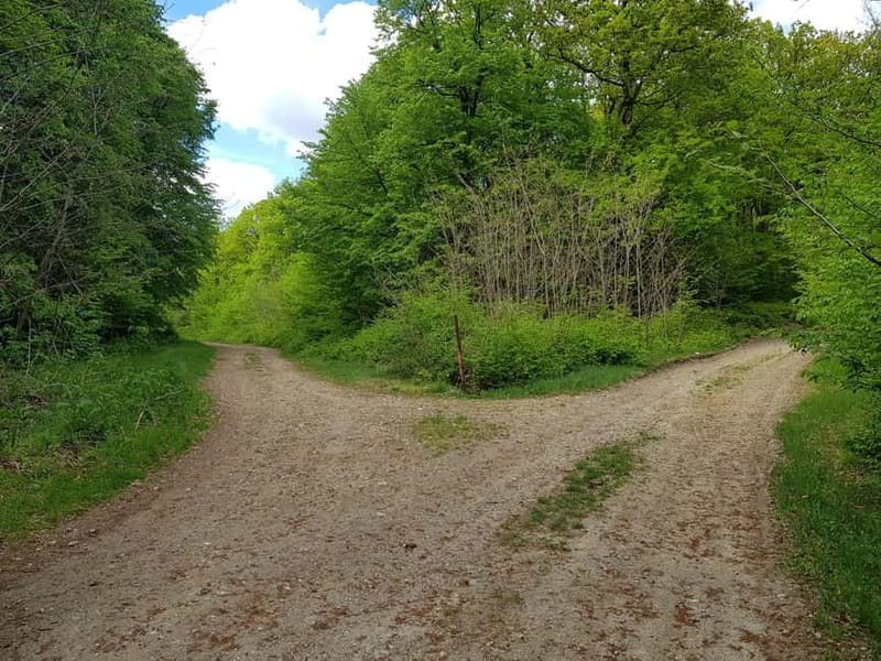 Discover the Charm of Guteria Hill/Sibiu Panorama - Price and Logistics: Great Value for a Short Adventure