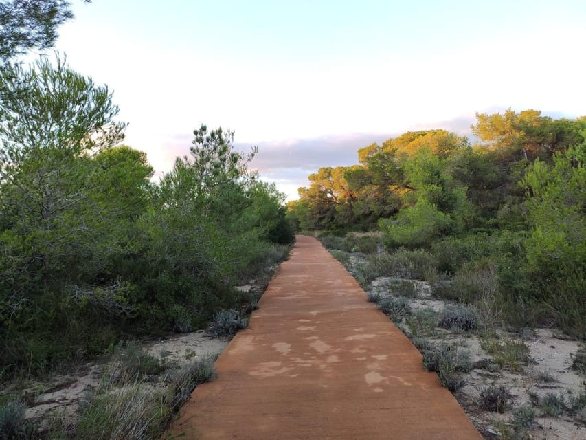 Discover the Devesa and the Albufera: Guided tour - Exploring Valencia’s Natural Heritage: A Detailed Breakdown
