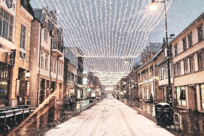 Discover the most Photogenic Spots of Tromsø with a Local - Price and Logistics: What You Should Know