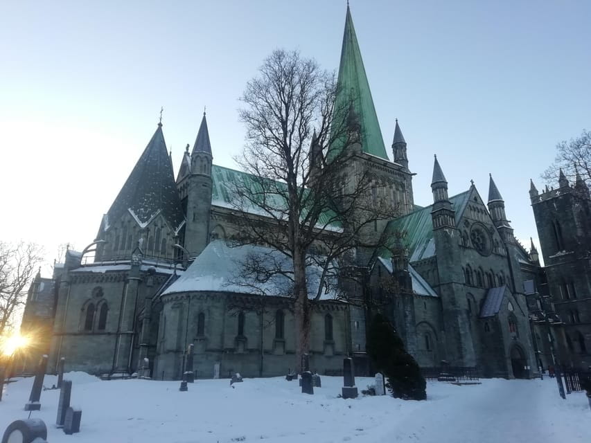 Discover the unmissables places of Trondheim - Final Thoughts: Is This Tour Worth It?