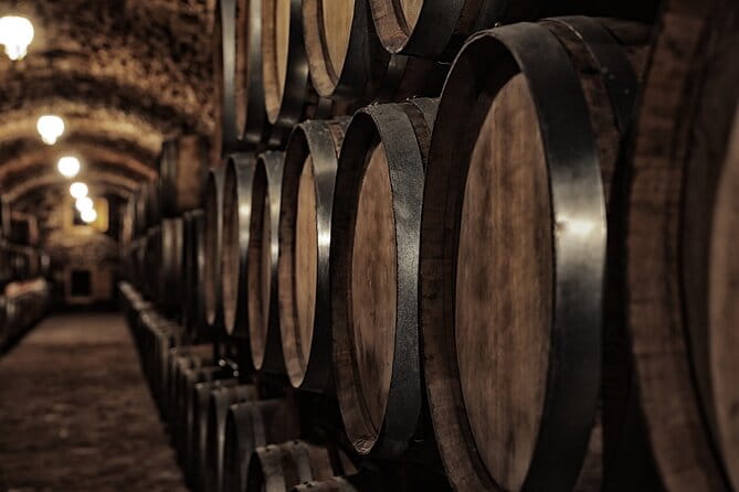 Discover the Winery and Taste fine Wine in Extremadura - The Tasting Experience: A Highlight for All
