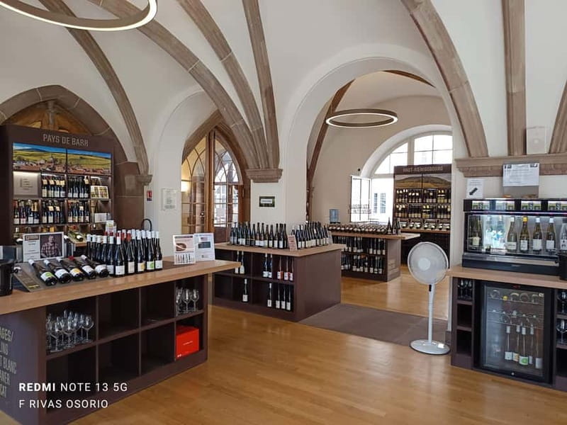 Discover the Wines of Alsace and a brief introduction to Strasbourg. - Itinerary Breakdown: What to Expect at Each Stop