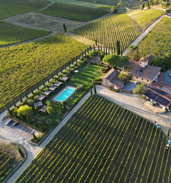 Discover the Wines of Chianti Classico with a tasting at Viticcio - Price, Logistics, and Practical Tips