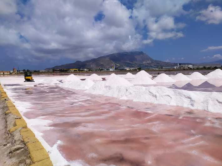 Discover Trapani's Saltpans with an E-Bike Tour - The Natural Reserve of Saline: Up Close with Nature