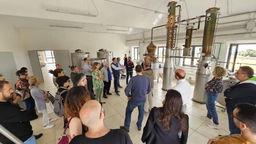 Distilleria Alma- Rum Distilery Guided Tour & Tasting - Final Thoughts