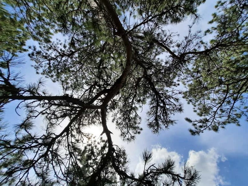 Divibare: Follow the Sun Hiking Tour - The Days Itinerary: What Youll Experience