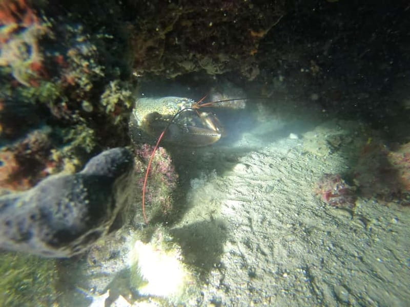 Diving - What to Expect: A Step-by-Step Breakdown