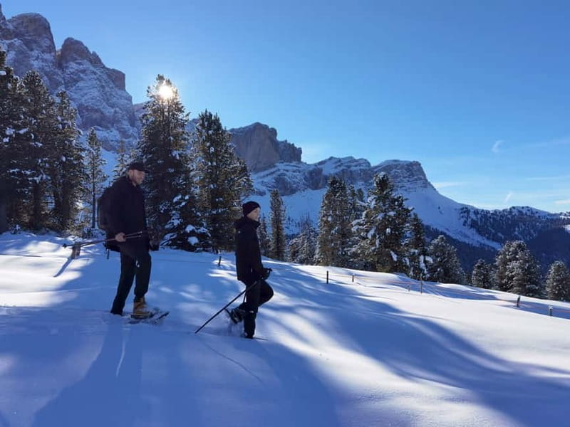 Dolomites of Bolzano: Winter Hiking & Sledding Experience - Price and Value