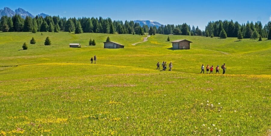 Dolomites private guided city tour - The Experience of the Dolomites: Authenticity and Stunning Views