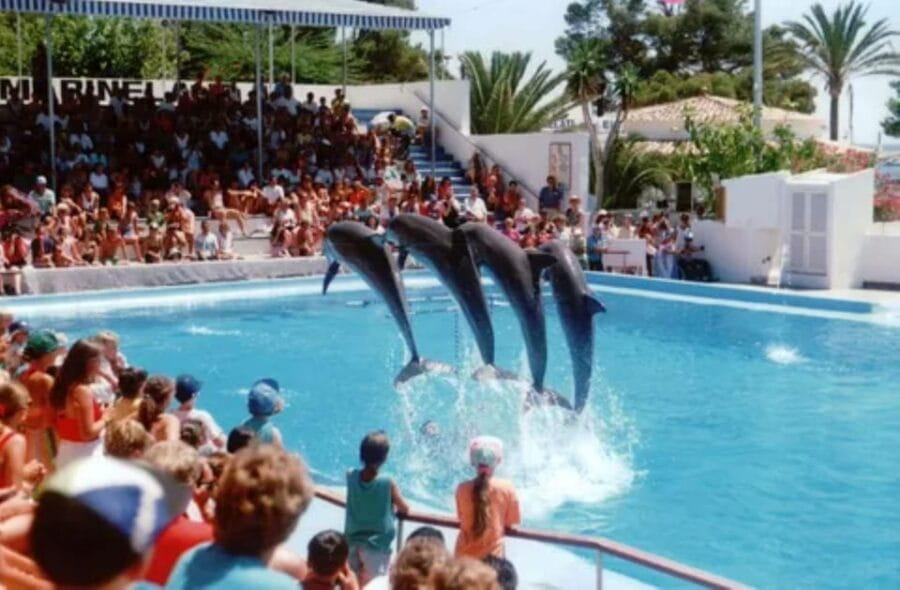 Dolphin Show Tour with Transfer from Alanya & Side - The Logistics and Practicalities