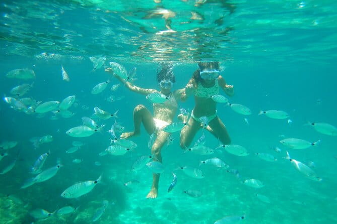 Dolphins Circus tour in Small group - Practical Details: Logistics and Value