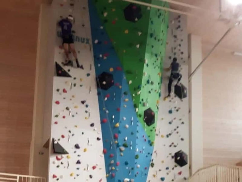 Donja Stubica: Sport Climbing Lesson on Artificial Rock - Who Should Consider This Experience?