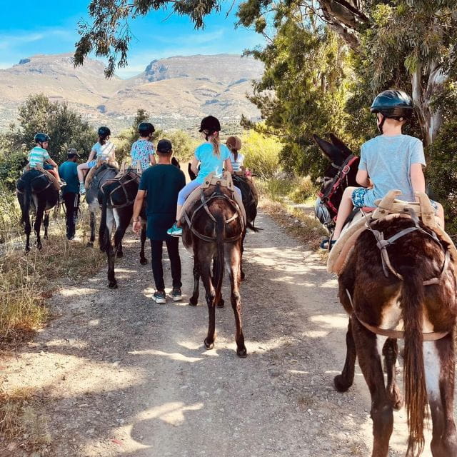 Donkey Riding - Coastline Ride - The Authenticity of Donkey Riding in Greece