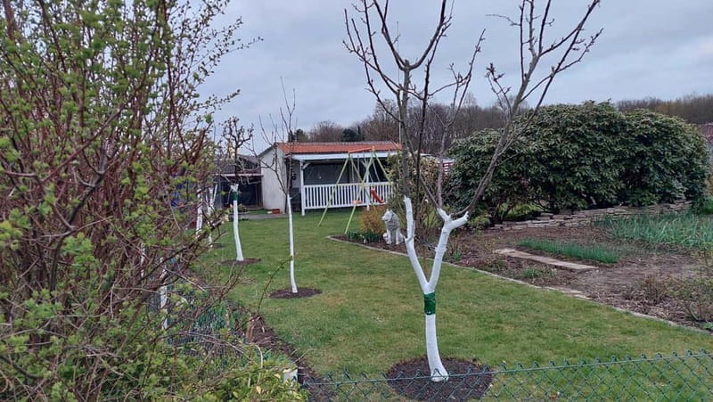 Dortmund: Allotment Garden Tour - Who Will Love This Tour?