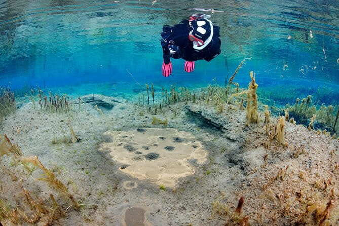 Double Snorkeling Adventure near Húsavík in North Iceland - The Practical Details and What They Mean for You