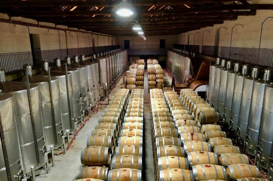 Douro - tour to explore the cradle of Barca Velha wine - Returning by Train and Final Impressions