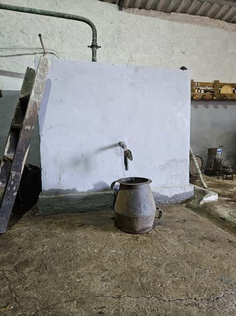 Douro: Traditional Harvest Lunch at Quinta de Sobre a Fonte - Logistics and Practical Tips