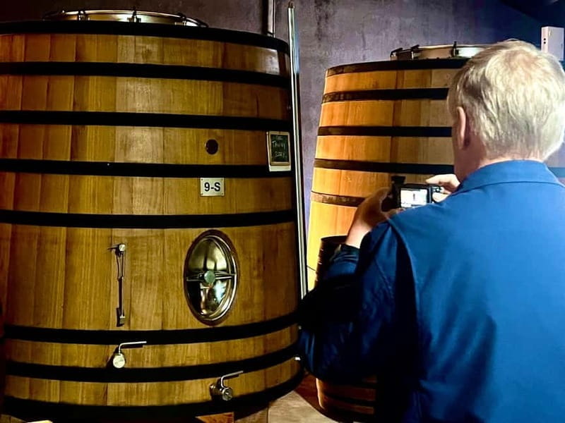 Douro Valley: A Day in Douro Valley Tasting The Best Wines - Who Will Love This Tour?