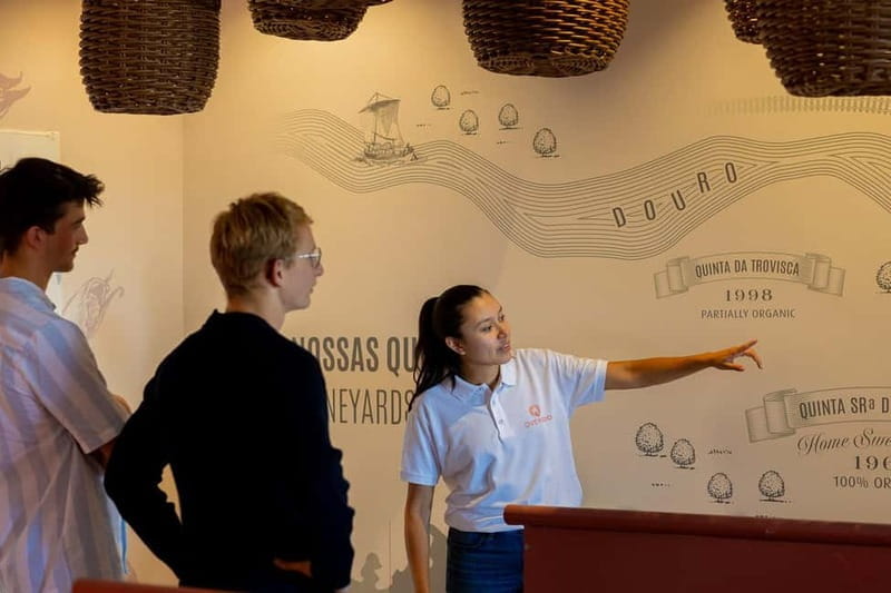 Douro Valley: Bottled VS Barrel Aged Port Wine - The Wines: What You’ll Sample and Why It Matters