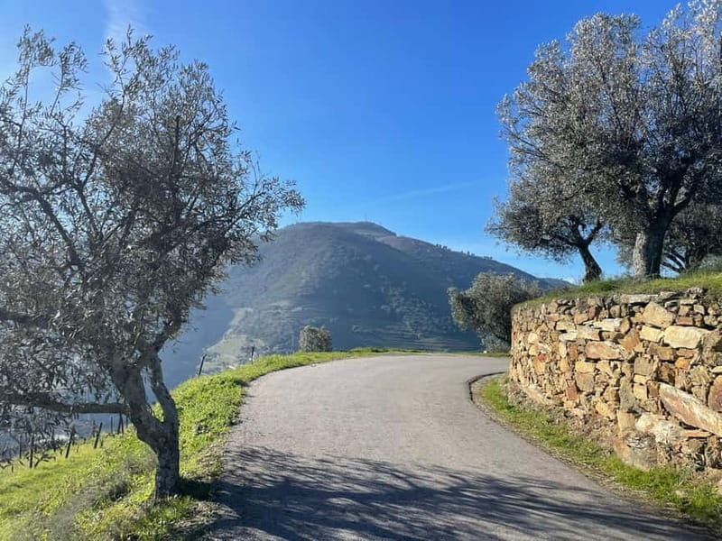 Douro Valley: Kayak and Vineyard Tour with Lunch and Wine - Exploring the Douro Valley: A Practical and Authentic Adventure