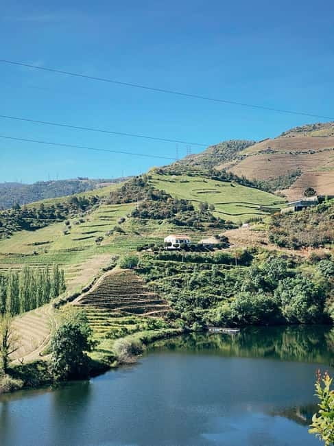 Douro Valley: PRIVATE TOURS with 1 Wine Tasting - Visiting a Local Wine Estate: Knowledgeable Guides and Quality Wines