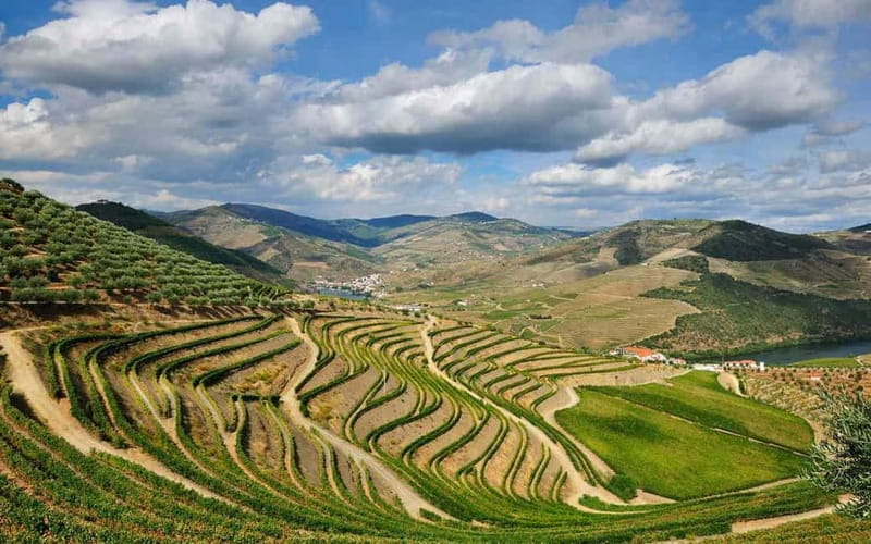Douro Valley: Wine & Chocolate Tour in the Wine Region - The charm of Torre de Moncorvo and its medieval streets