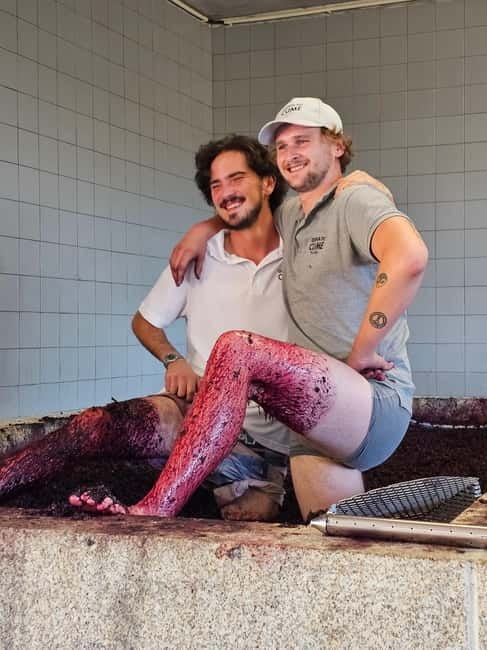 Douro Valley: Wine, History, and Ferdinand Magellan Tour - Visiting the Wineries: Tastings and Craftsmanship