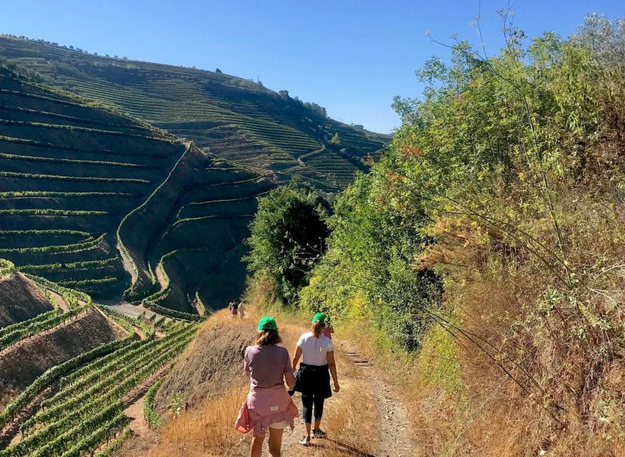 Douro - walking with full fancy lunch and premium wines - FAQ