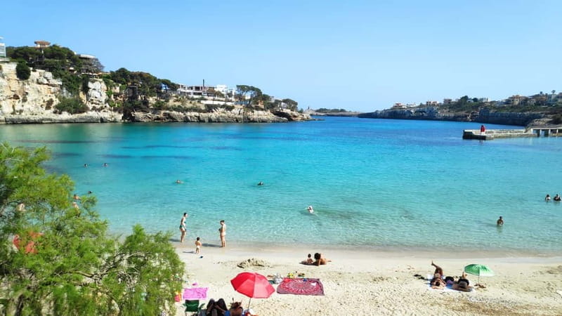 Drach Caves and Palma or Beach Retreat  Full-Day Tour - Who Should Consider This Tour?